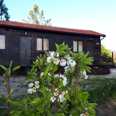 Casinha Do Cedro Villa Baiao Exterior photo