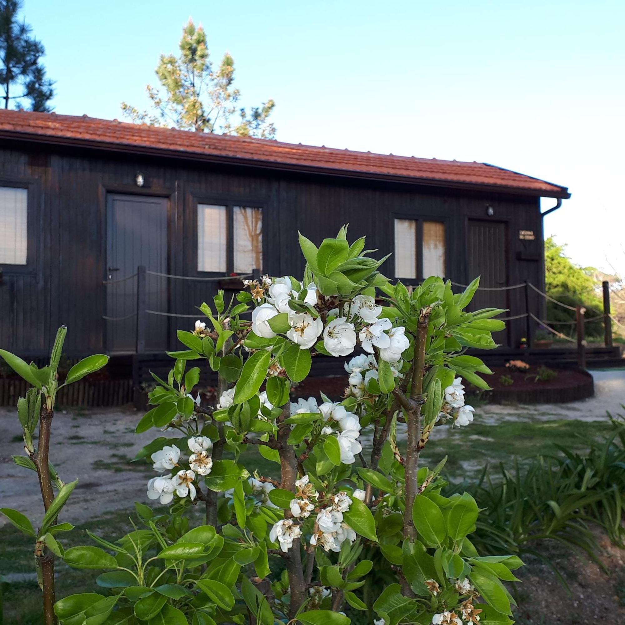 Casinha Do Cedro Villa Baiao Exterior photo